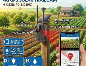 CAMERA BẪY ẢNH PICOTECH 4G+GPS NĂNG LƯỢNG MẶT TRỜI PC-6301HD: GIẢI PHÁP “GIỮ TRỌN MÙA VỤ” CHO NHÀ NÔNG