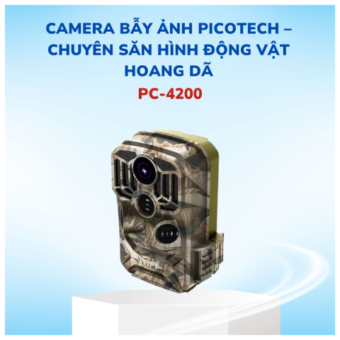CAMERA BẪY ẢNH PICOTECH – CHUYÊN SĂN HÌNH ĐỘNG VẬT HOANG DÃ
